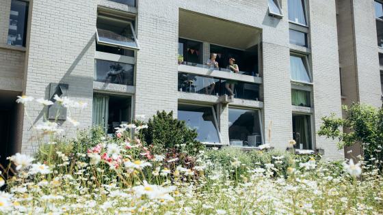 Students drink tea on the balcony near some flowers